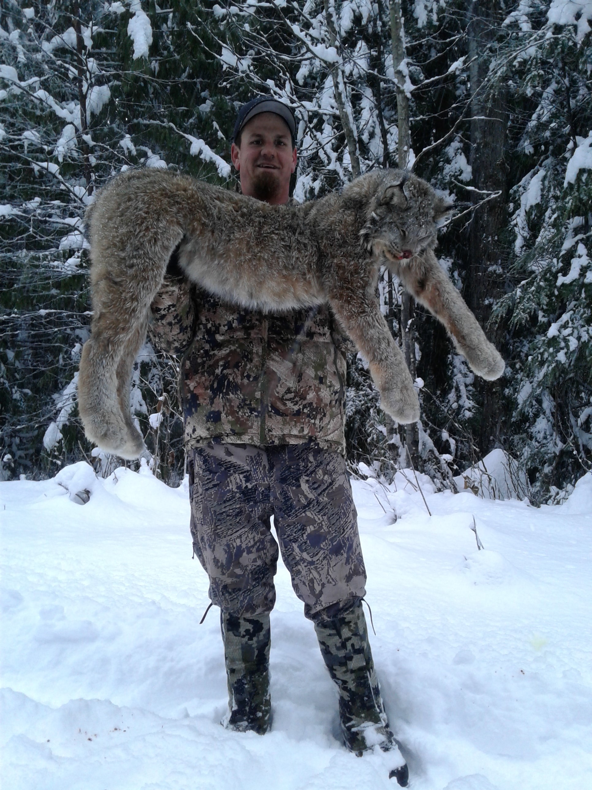 Lynx Hunts