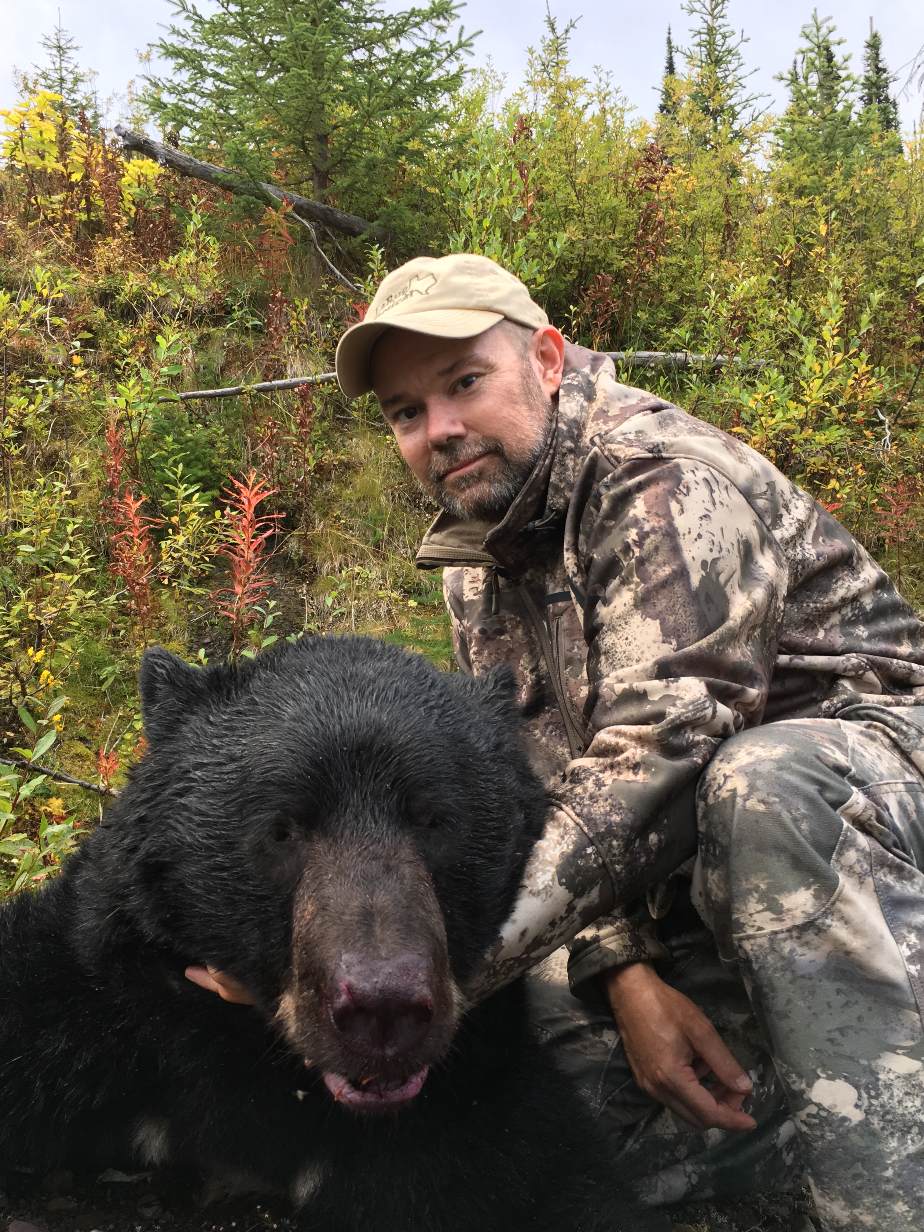 Black Bear Hunting BC Guided Hunting BC Hunts Moose, Goat, Bear