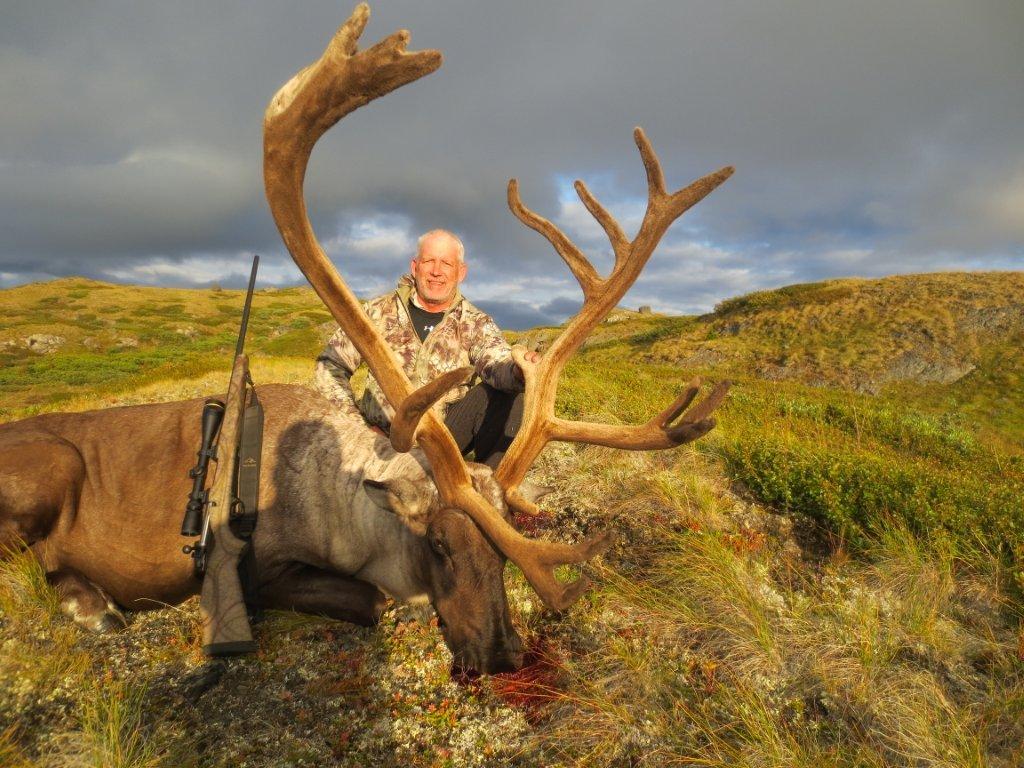 Mountain Caribou