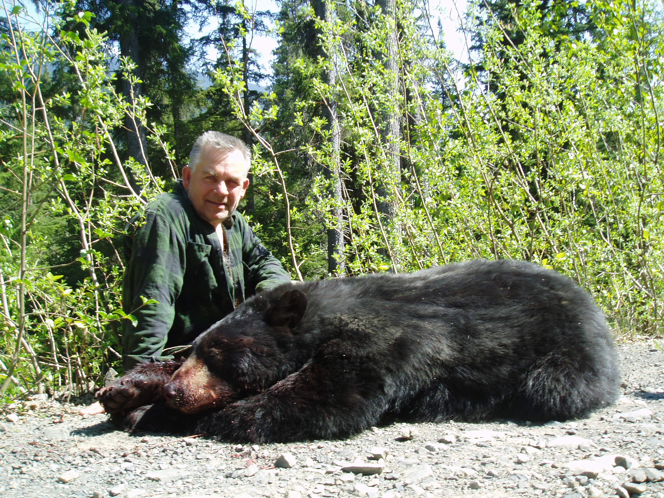 Spring bear hunts