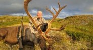 Mountain Caribou