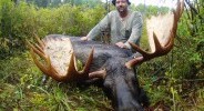 Moose hunts