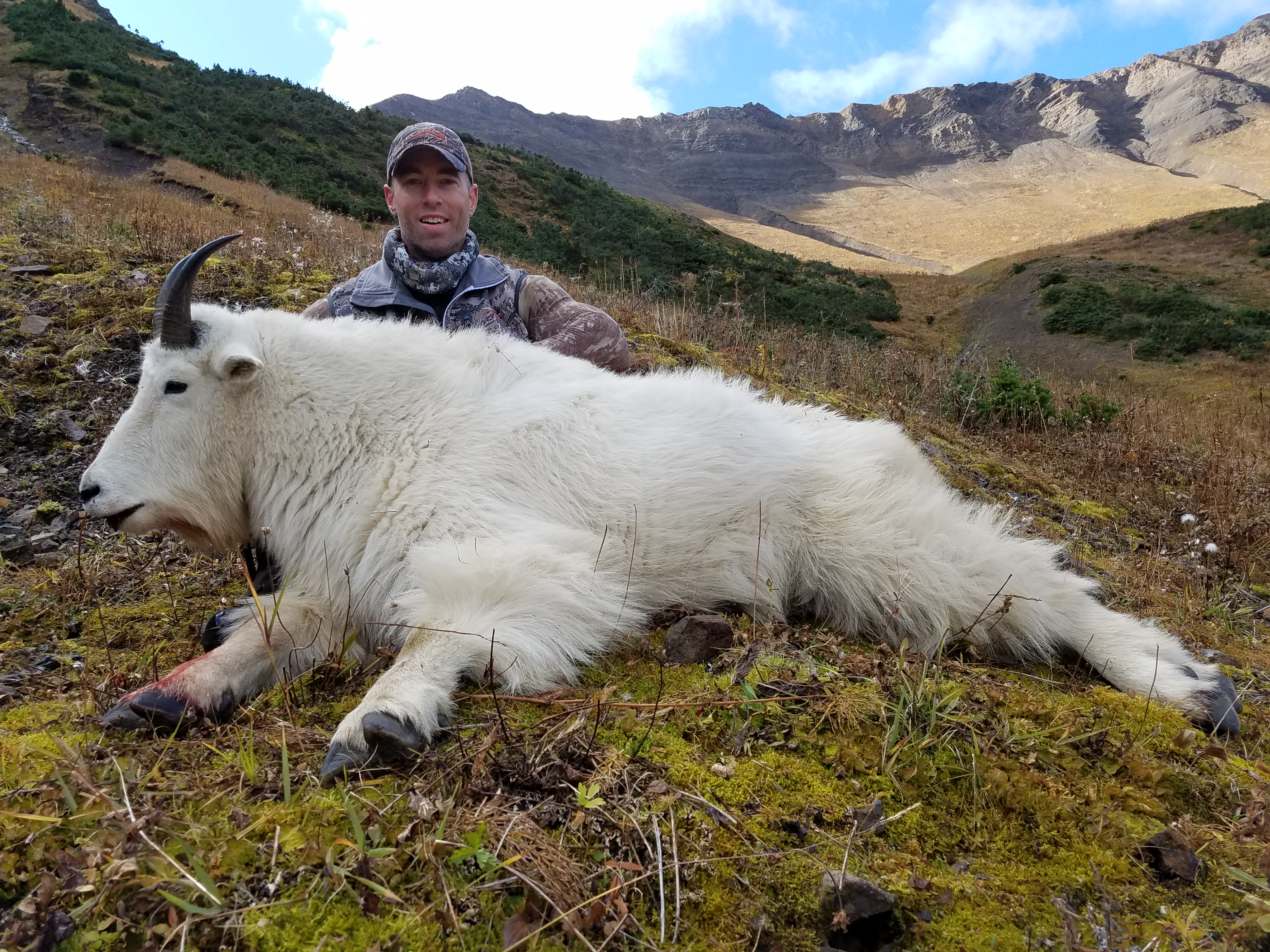 Mountain Goat Hunts