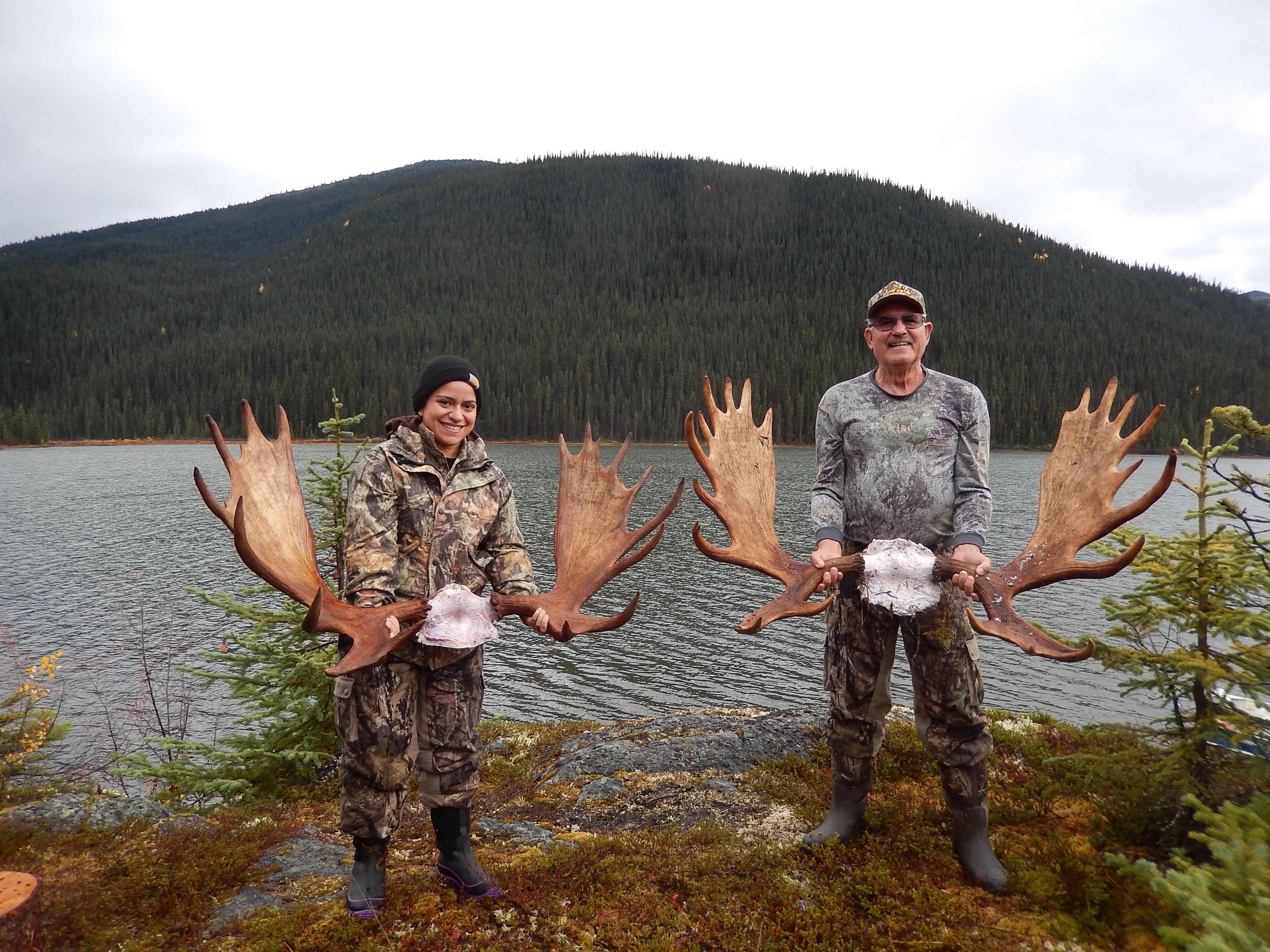 BC Moose Hunts Trophy Moose BC Guided Hunting BC Hunts Moose