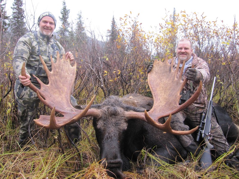 BC Moose Hunts Trophy Moose BC Guided Hunting BC Hunts Moose