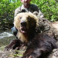 Bear Photo Gallery