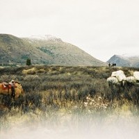 Northwest British Columbia Photo Gallery