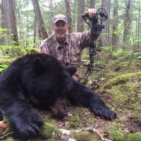 Archery bear hunt