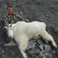 Mountain Goat Photo Gallery