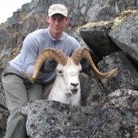 Stone Sheep Photo Gallery